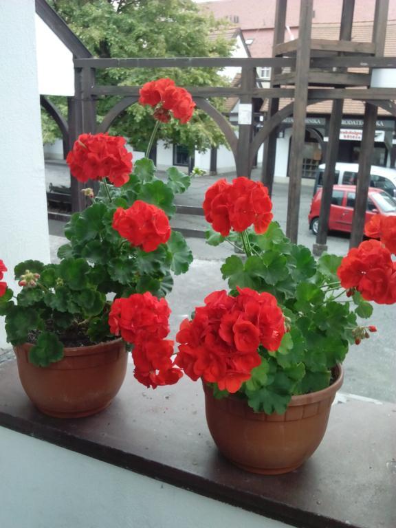 Julia Apartman Eger Cameră foto